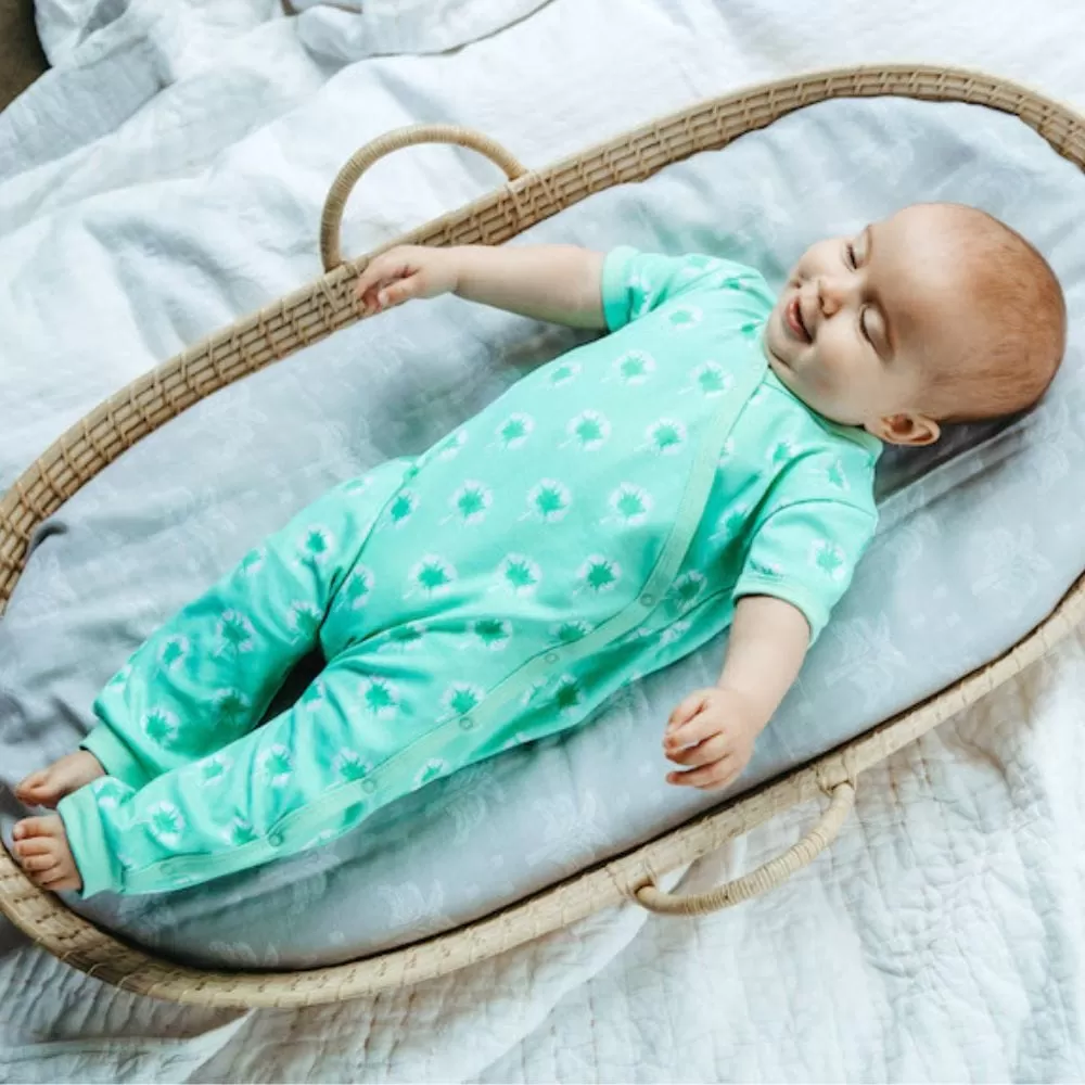 100% Organic Cotton Summer Short Sleeve Crossover Sleepsuit - Dandelions in Mint