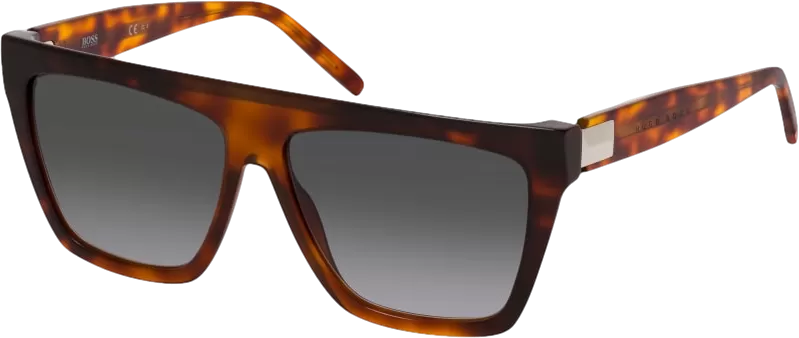 BOSS Brown Havana 1153/s Sunglasses