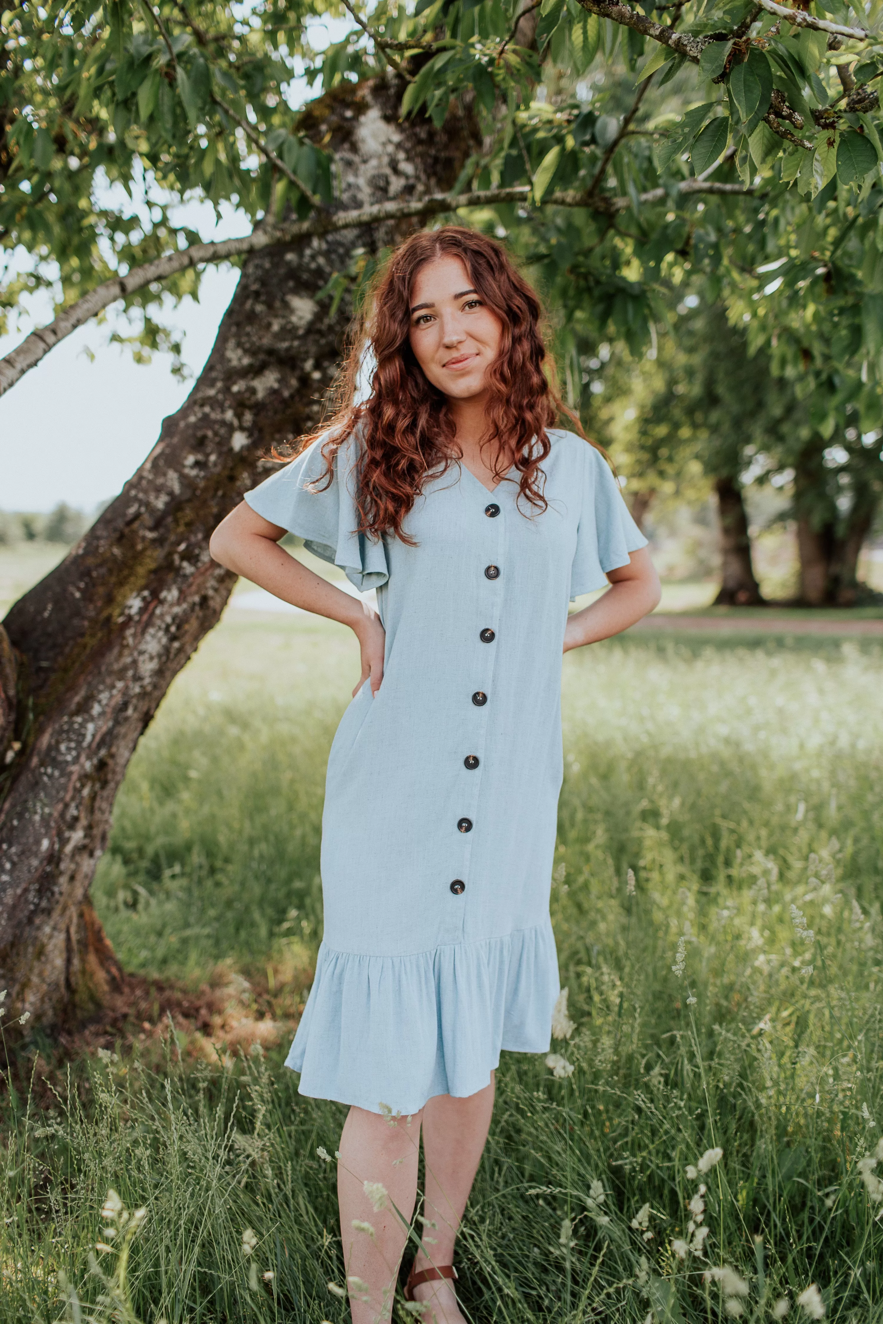 Janelle Button Down Dress in Sky