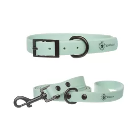 Sea Green Collar & Leash Set