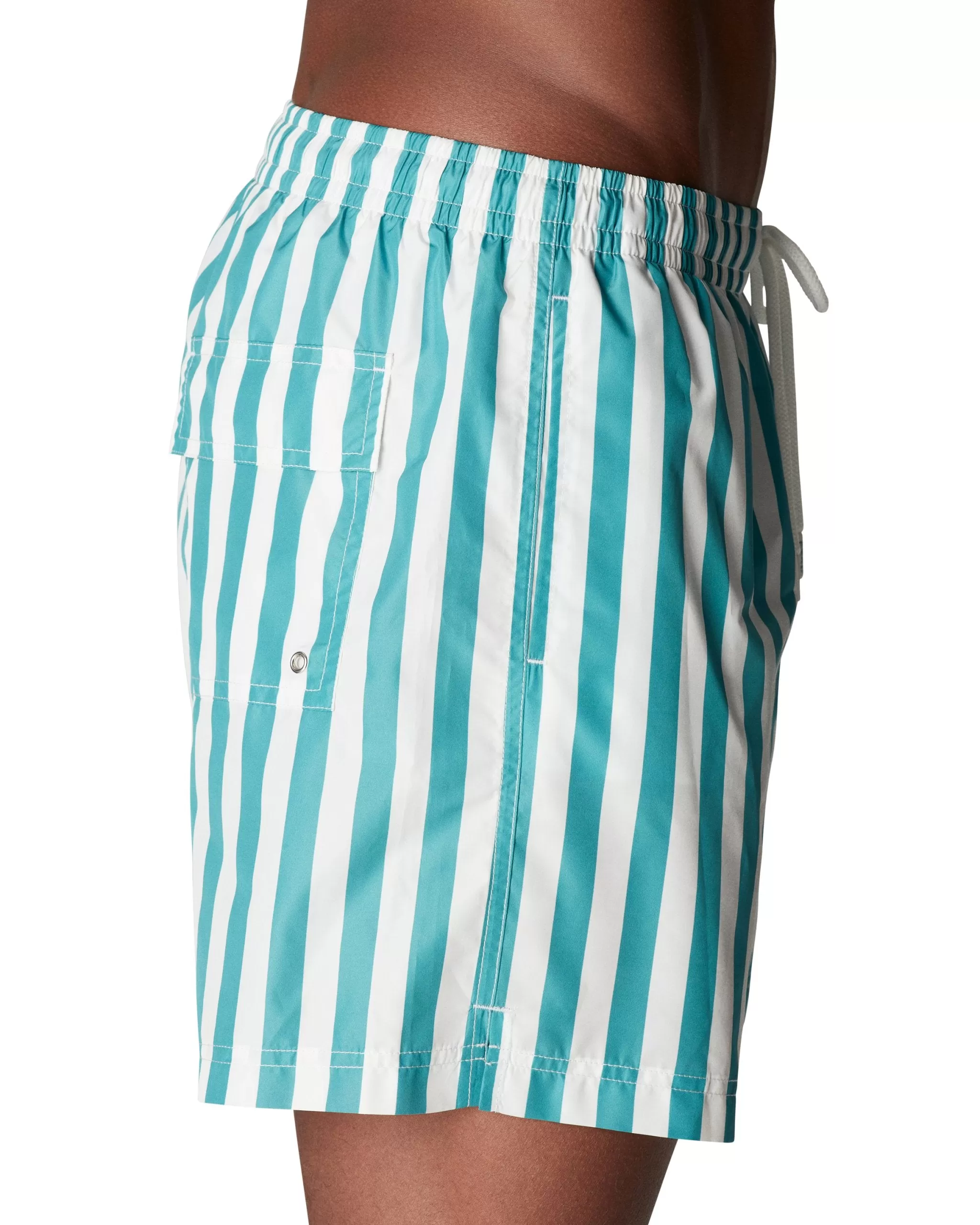 Striped Swim Shorts