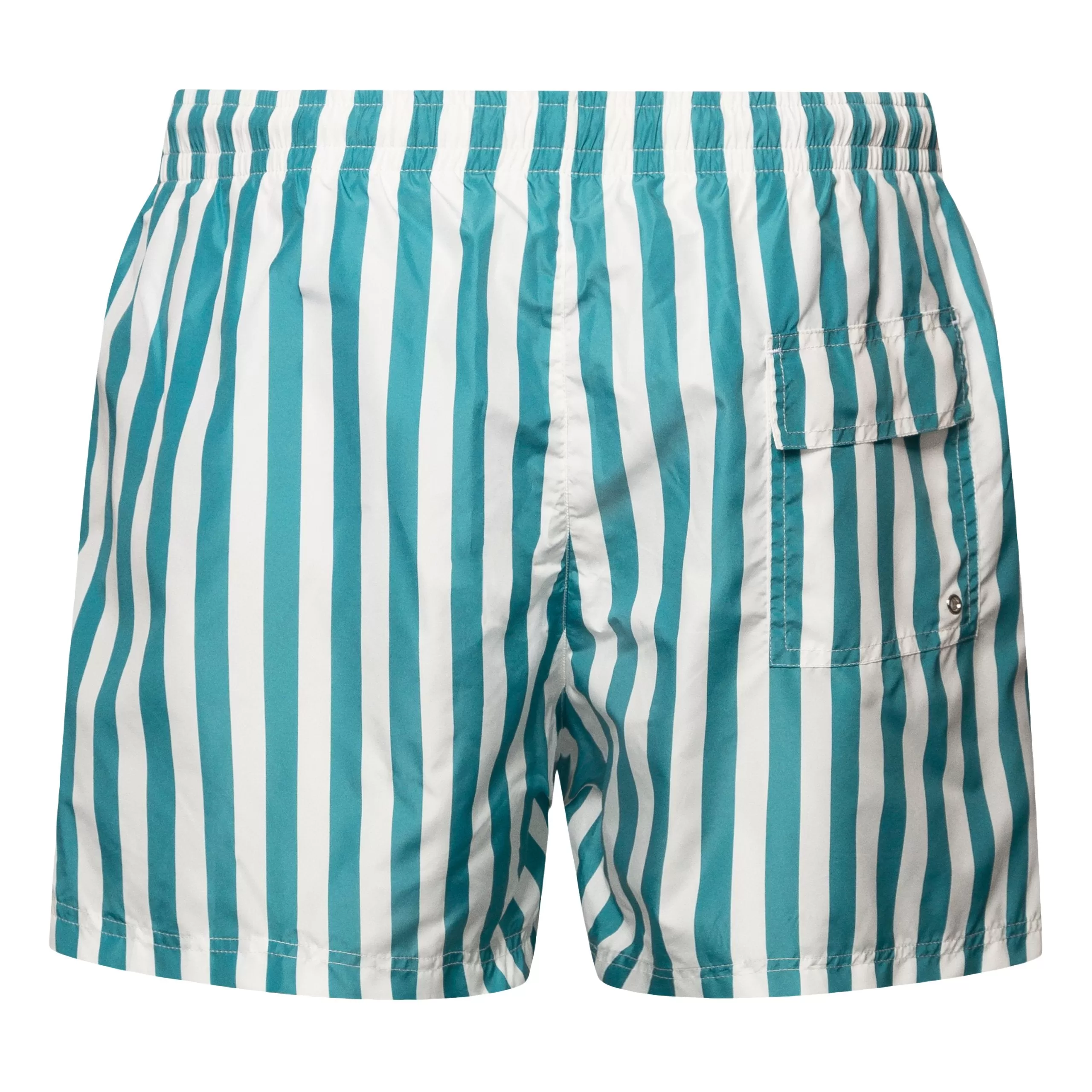 Striped Swim Shorts