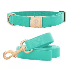 Tropical Green Collar & Leash Set